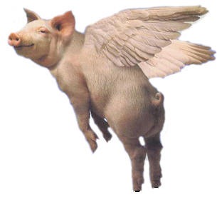 Pigs Are Flying